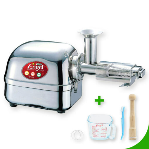 Angel Juicer 5500 Slow Juicer