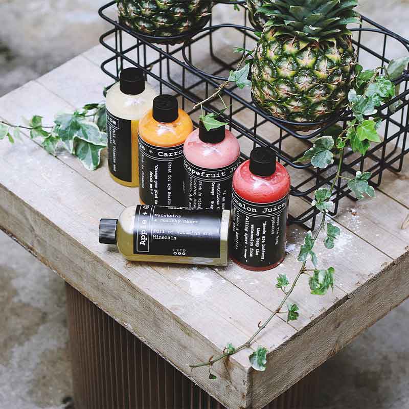 Angel Juicer Entsafter 1